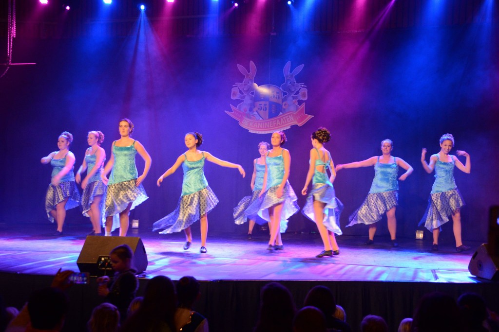 ../Images/Dansmarieke festival 2015 515.jpg
